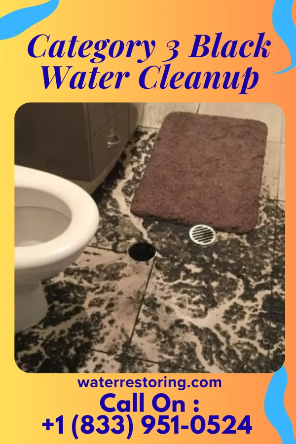 Category 3 Black Water Cleanup in Lansing, IL
