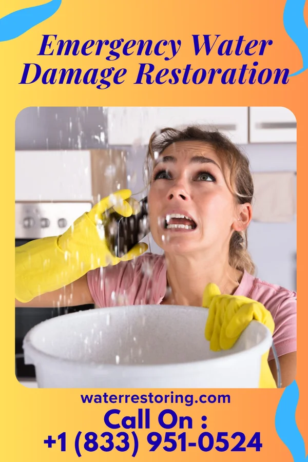 Emergency Water Damage Restoration in Lansing, IL