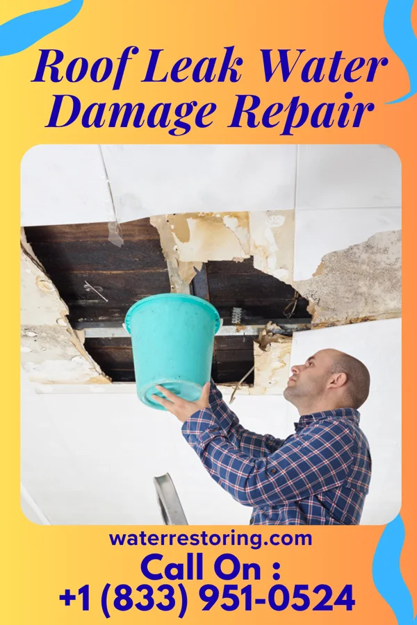 Roof Leak Water Damage Repair in Lansing, IL
