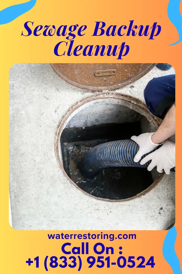 Sewage Backup Cleanup in Lansing, IL